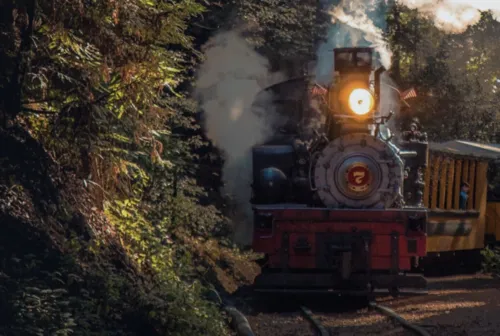 Train Wreck