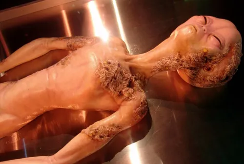 Alien Autopsy