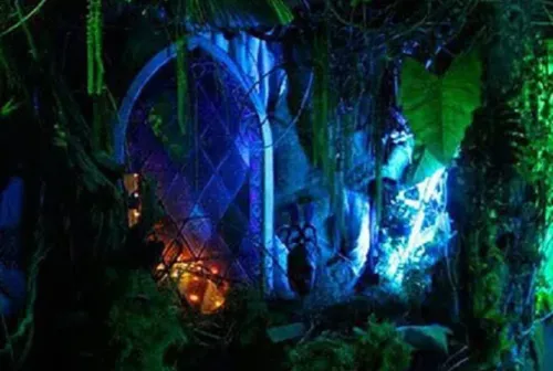 The Forbidden Forest