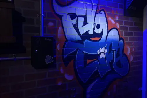 Dog Gone Alley