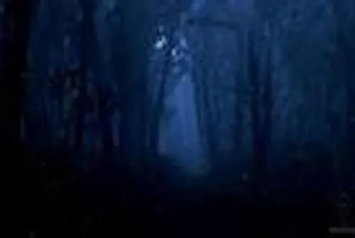 The Wisp in the Wild Wood