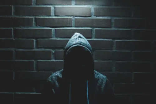 The Vigilante’s Maze