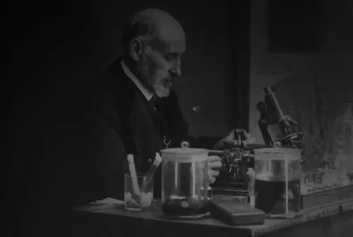 The Formula of Ramón y Cajal