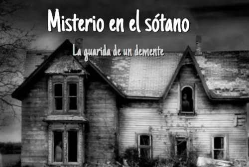 Mystery in the Basement