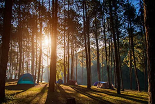 Camping Escape Room