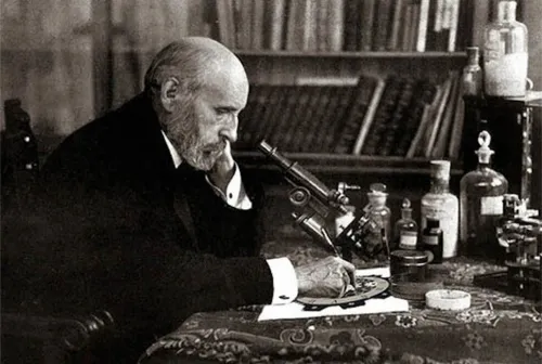 The Formula of Ramón y Cajal