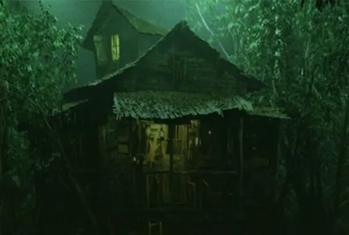 L'esprit du bayou