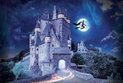 The School of Magic