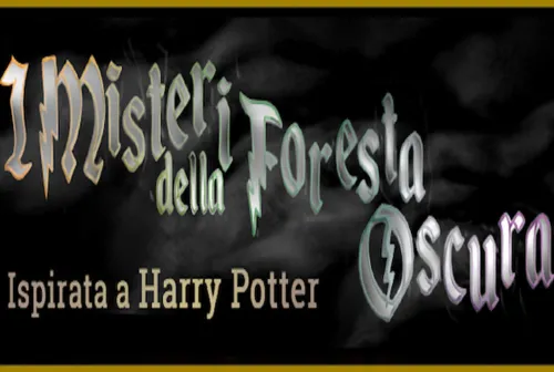 The Mysteries of the Dark Forest