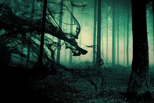 The Shelter of Shadows