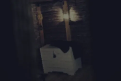 The Mystery of the Forest Cottage