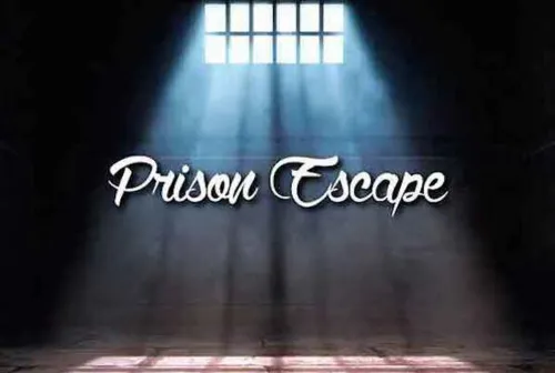 Prison Escape