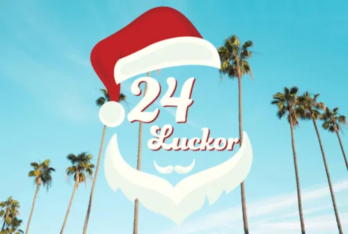 24 doors