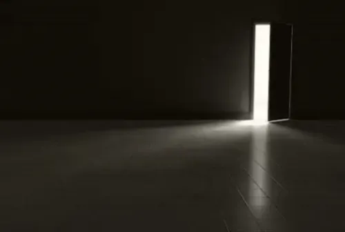 Belly of the Beast