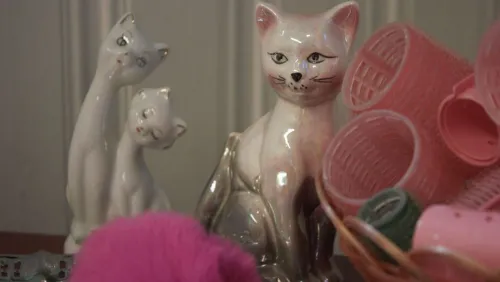 Crazy Cat Lady