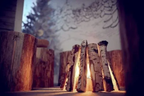 Frozen forest