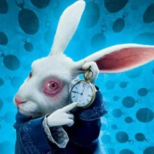 Alice and The White Rabbit