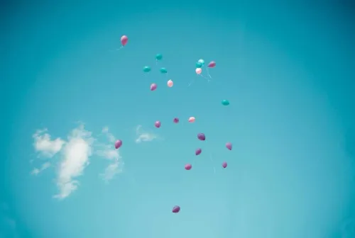 Квиз, плиз!