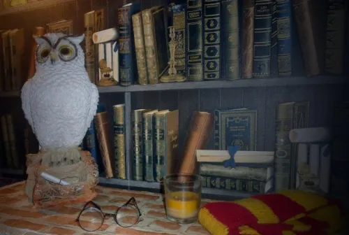Hogwarts School