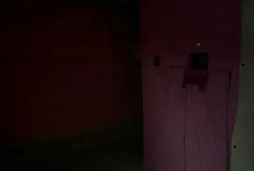 Момо: наследие убийств