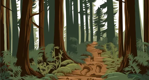 Search for Sasquatch