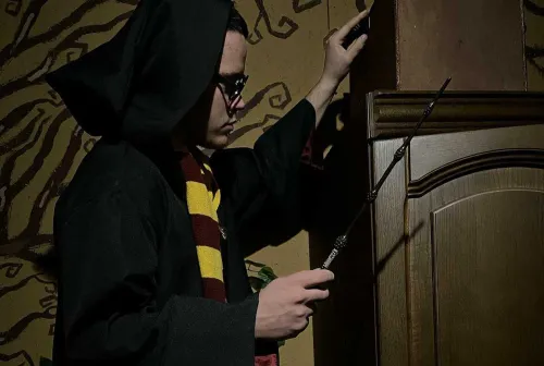 Harry and the conspiracy of dark wizards