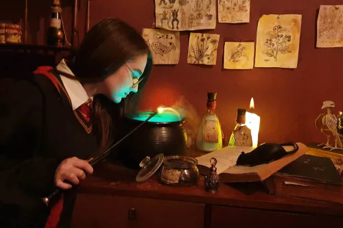 Hogwarts. Battle of the Wizards