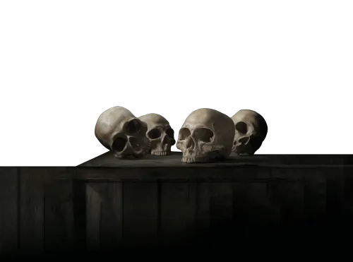 The Anatomist