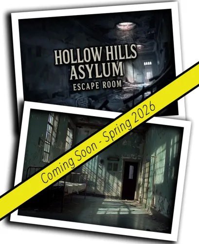 HOLLOW HILLS ASYLUM