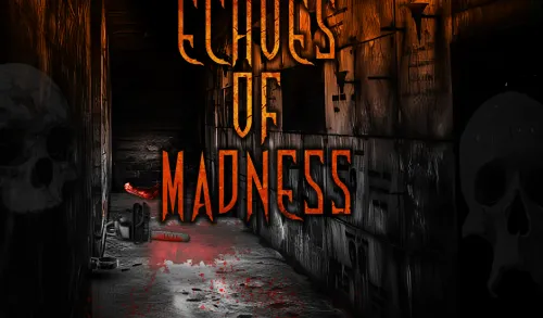 echoes of madness