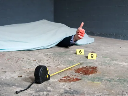 CSI: ROGER THAT!