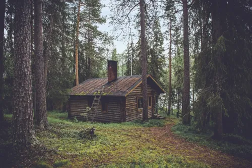 The Cabin