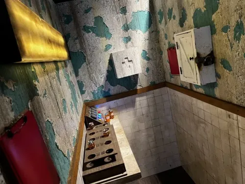 The Asylum