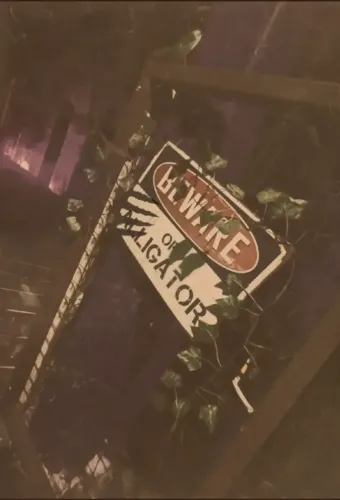 Bigfoot: Secrets of the Swamp
