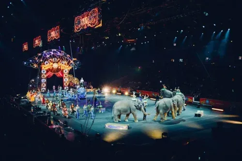 Betrayal Under The Big Top