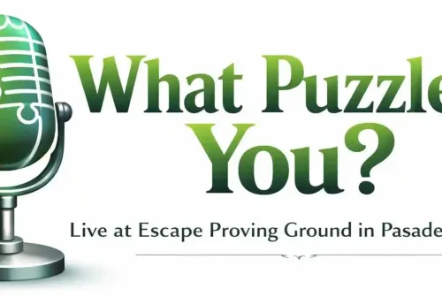 What Puzzles You?