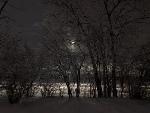 Kingdom of Night