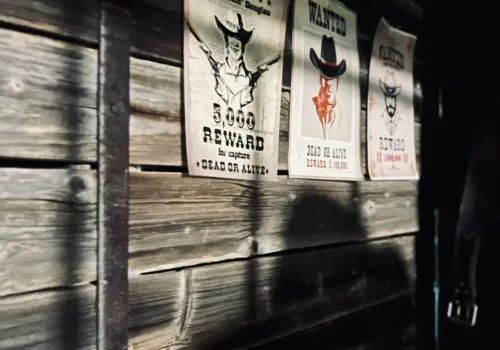 WILD WEST
