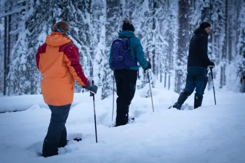 Erämaan armoilla pakohuone