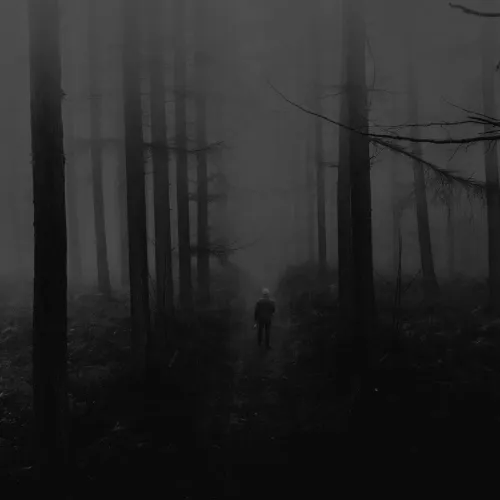 Il Mistero della Palude
