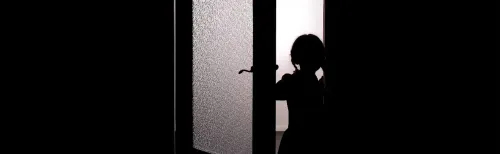 LE MYSTÈRE DE L'ORPHELINE
