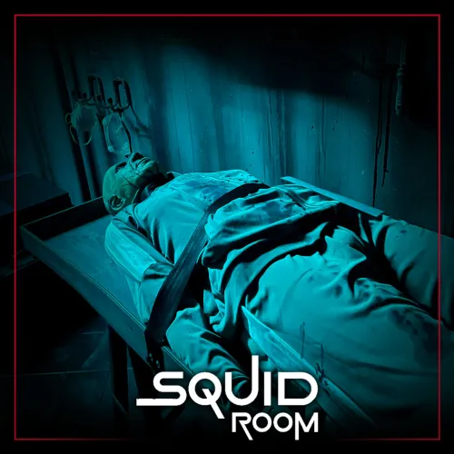 SQUID ROOM