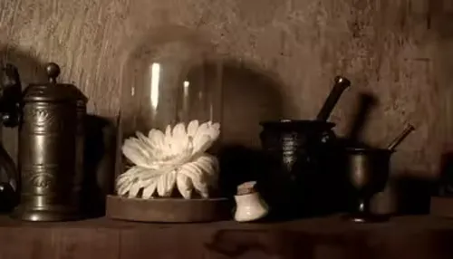 The Affair of the Poisons