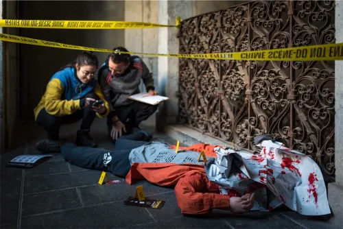 Murder Party