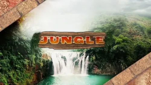 Jungle