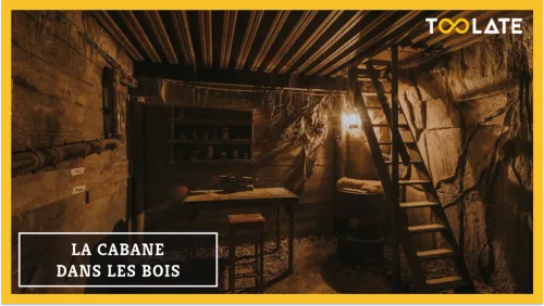 LA CABANE DANS LES BOIS