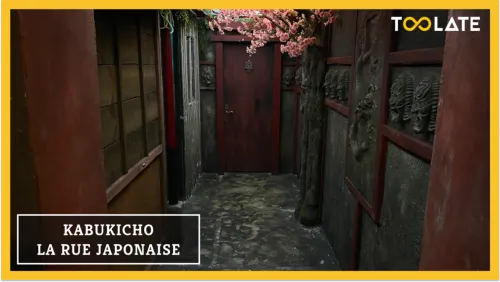 KABUKICHO : LA RUE JAPONAISE