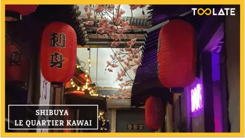 SHIBUYA : LE QUARTIER KAWAI