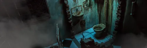 Asylum
