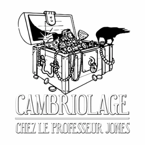 Cambriolage chez le Professeur Jones